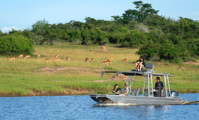 Luxury Rwanda Safari Experience